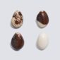 Semi Tagua Naturale