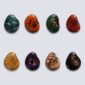 Tagua colorata Mitagua