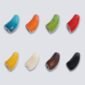 Tagua colorata Corno