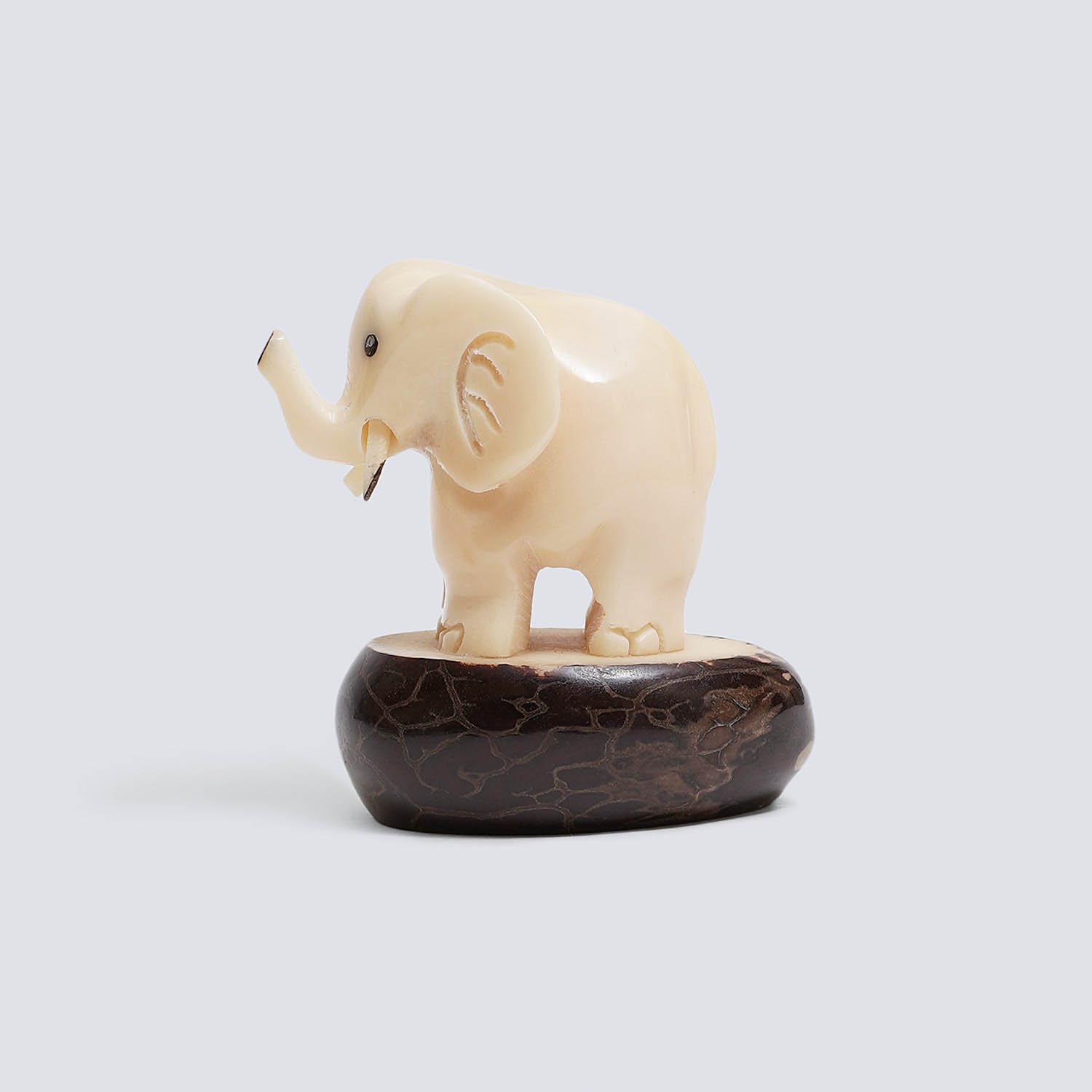 Elefante