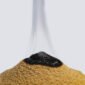 PALOSANTO IN POLEVERE
